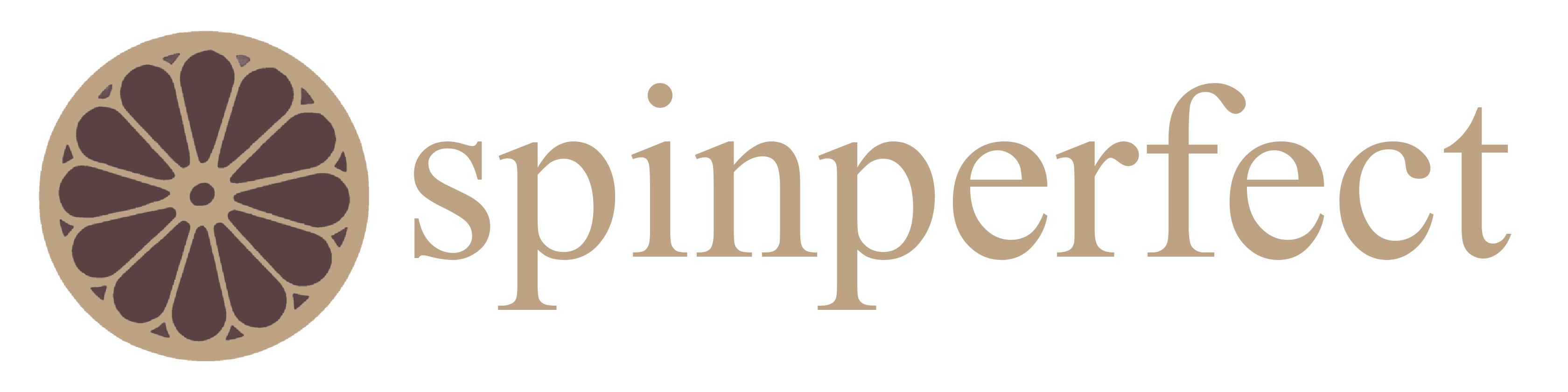 SpinPerfect ICON | Creative, Precision, Iconic Carbon Fiber Spinning Wheel